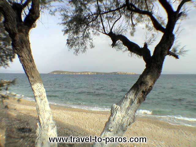 DRIOS - Clean waters and golden sands are the main characterize of Drios beach.