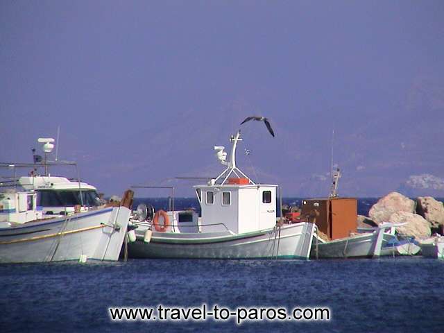 AMPELAS BEACH - The fishing boats to the little harbour of Ampelas are waiting for their captains...